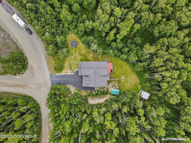 542 S Tender Arctic Dr, Palmer, AK 99645 - drone / aerial view