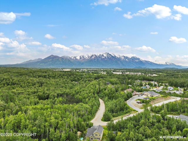 542 S Tender Arctic Dr, Palmer, AK 99645 - bird's eye view of a heavily wooded area and a mountainous background