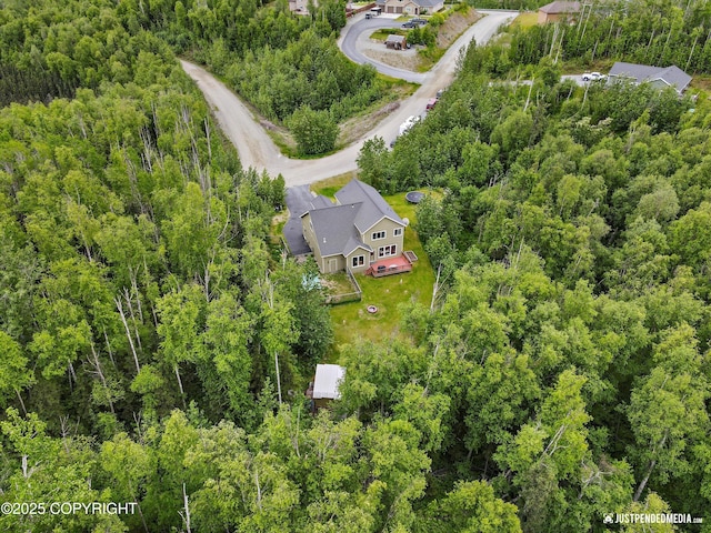 542 S Tender Arctic Dr, Palmer, AK 99645 - bird's eye view of a heavily wooded area
