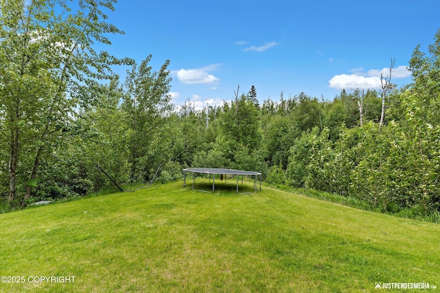 542 S Tender Arctic Dr, Palmer, AK 99645 - view of grassy yard featuring a trampoline and a wooded view