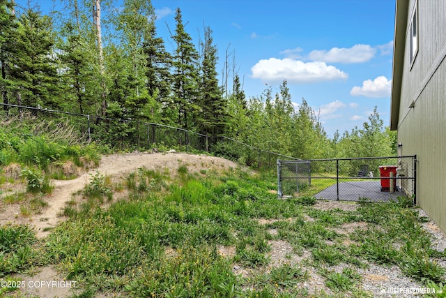 542 S Tender Arctic Dr, Palmer, AK 99645 - view of yard