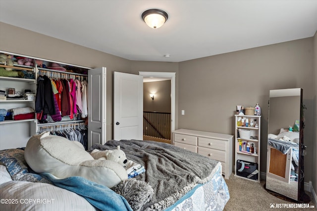 542 S Tender Arctic Dr, Palmer, AK 99645 - carpeted bedroom with a closet