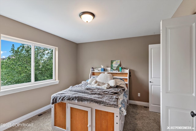542 S Tender Arctic Dr, Palmer, AK 99645 - carpeted bedroom featuring baseboards