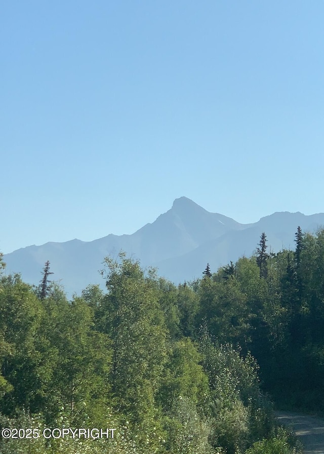 542 S Tender Arctic Dr, Palmer, AK 99645 - mountain view with a heavily wooded area
