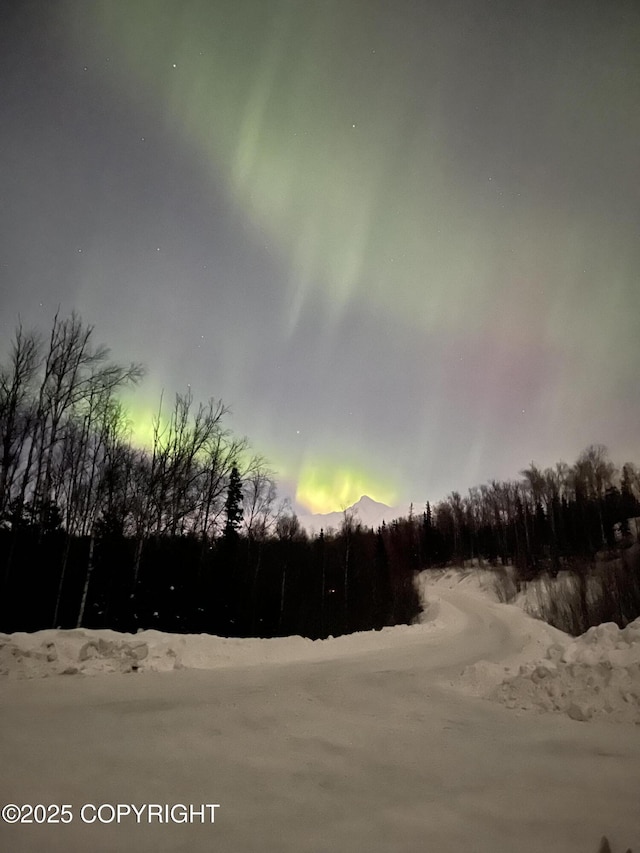 542 S Tender Arctic Dr, Palmer, AK 99645 - view of asphalt road