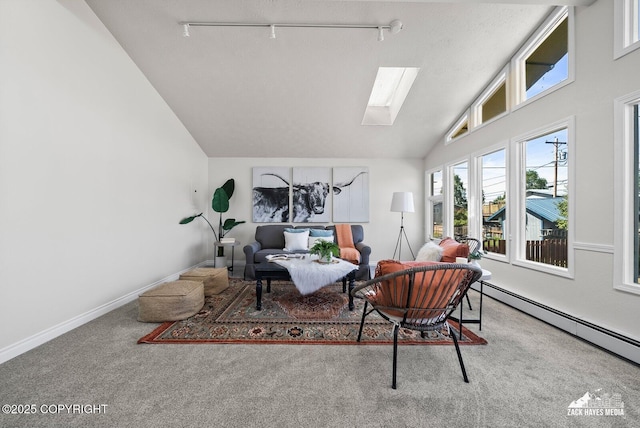 2105 W 47th Ave, Anchorage, AK 99517 - living room with rail lighting, a skylight, vaulted ceiling, a baseboard heating unit, and carpet flooring