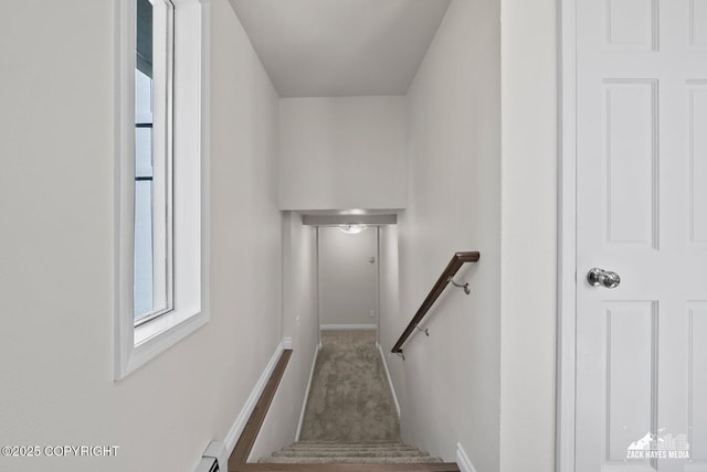 2105 W 47th Ave, Anchorage, AK 99517 - staircase with healthy amount of natural light and carpet floors