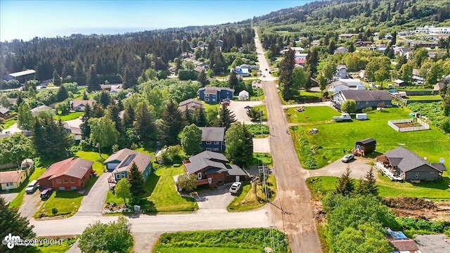4085 Calhoun St, Homer, AK 99603 - aerial view of residential area with a heavily wooded area