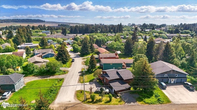 4085 Calhoun St, Homer, AK 99603 - aerial view of residential area