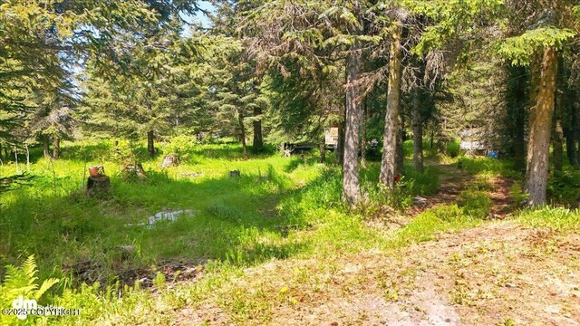 67290 Kiana Dr, Ninilchik, AK 99639 - photo 4