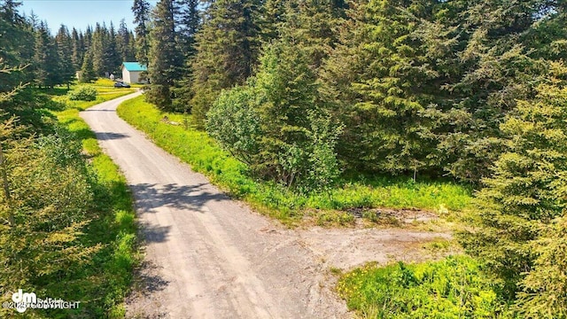 67290 Kiana Dr, Ninilchik, AK 99639 - photo 6