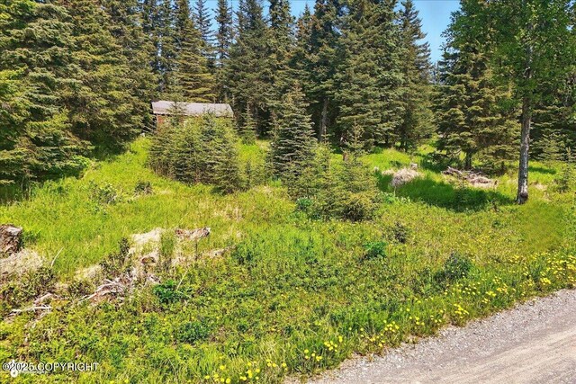 67290 Kiana Dr, Ninilchik, AK 99639 - photo 2