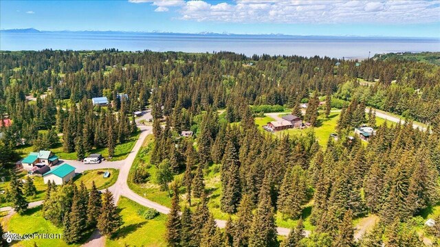 67290 Kiana Dr, Ninilchik, AK 99639 - photo 18