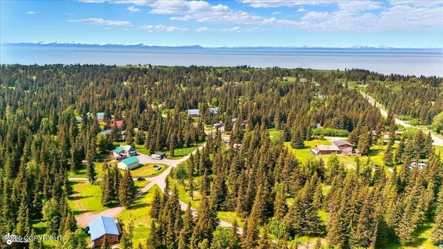 67290 Kiana Dr, Ninilchik, AK 99639 - photo 19