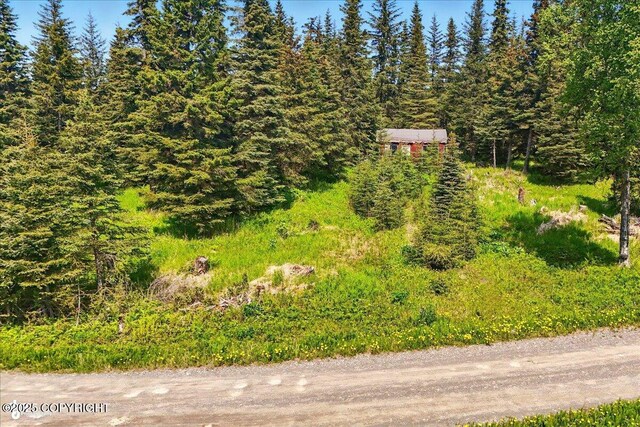 67290 Kiana Dr, Ninilchik, AK 99639 - photo 3