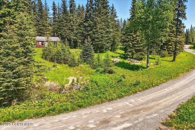 67290 Kiana Dr, Ninilchik, AK 99639 - photo 1