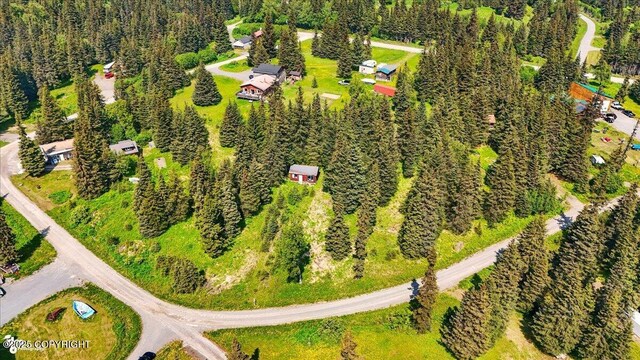 67290 Kiana Dr, Ninilchik, AK 99639 - photo 20