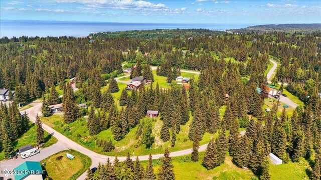 67290 Kiana Dr, Ninilchik, AK 99639 - photo 21