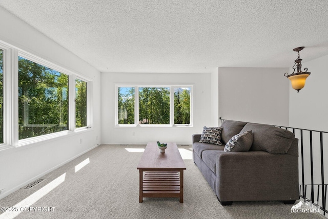 20213 David Ave, Eagle River, AK 99577 - living room with a textured ceiling and carpet flooring
