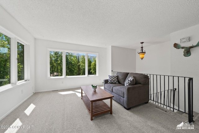 20213 David Ave, Eagle River, AK 99577 - carpeted living area featuring plenty of natural light and a textured ceiling