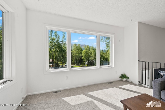 20213 David Ave, Eagle River, AK 99577 - unfurnished living room featuring carpet and a textured ceiling