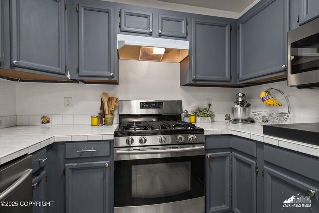 20213 David Ave, Eagle River, AK 99577 - kitchen featuring appliances with stainless steel finishes, under cabinet range hood, and gray cabinetry