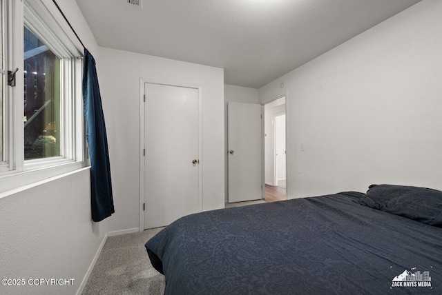 20213 David Ave, Eagle River, AK 99577 - bedroom with multiple windows and carpet flooring