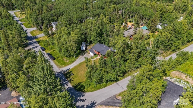 20213 David Ave, Eagle River, AK 99577 - aerial view of property and surrounding area