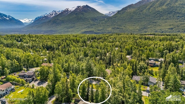 20213 David Ave, Eagle River, AK 99577 - mountain view featuring a heavily wooded area
