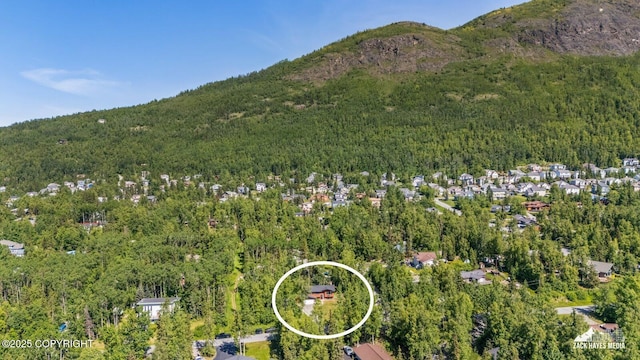 20213 David Ave, Eagle River, AK 99577 - aerial view of property and surrounding area featuring a heavily wooded area and mountains