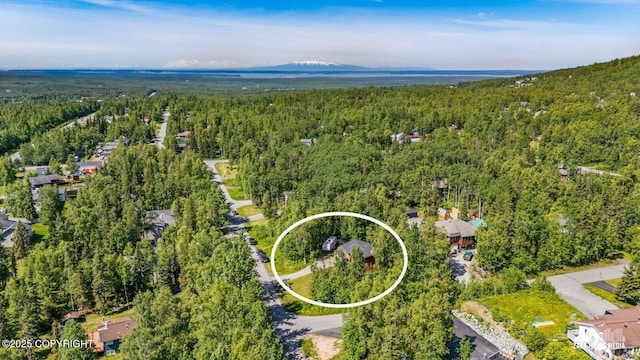 20213 David Ave, Eagle River, AK 99577 - drone / aerial view of a heavily wooded area