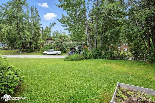 18033 Teklanika Dr, Eagle River, AK 99577 - photo 16