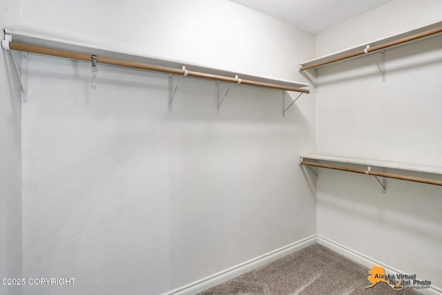 2922 Summer Sun Ct # 154, Anchorage, AK 99507 - spacious closet featuring carpet floors