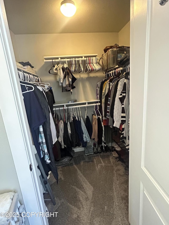 9074 W John St, Wasilla, AK 99654 - spacious closet featuring carpet floors