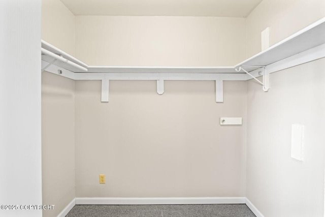 1100 Fred Cir, Anchorage, AK 99515 - spacious closet featuring carpet floors
