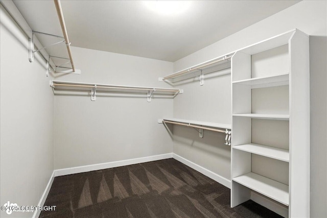8683 Estates Cir, Anchorage, AK 99507 - walk in closet with dark carpet