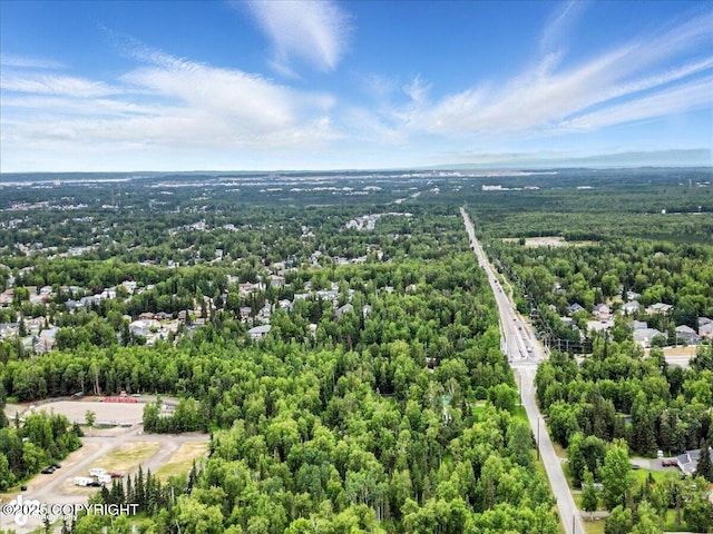 8683 Estates Cir, Anchorage, AK 99507 - drone / aerial view of a forest