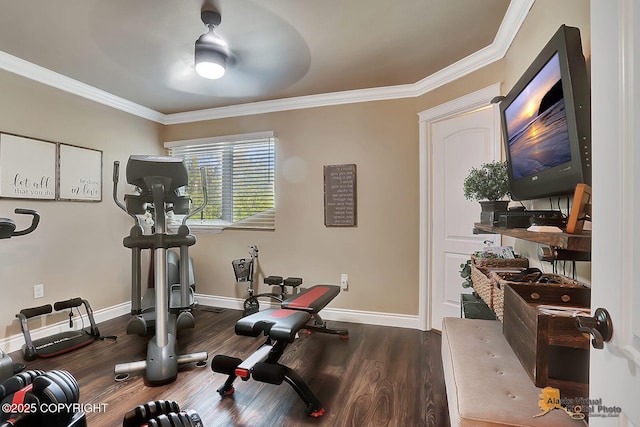2548 S Gallop Cir, Wasilla, AK 99654 - exercise area with dark wood-style flooring and ornamental molding
