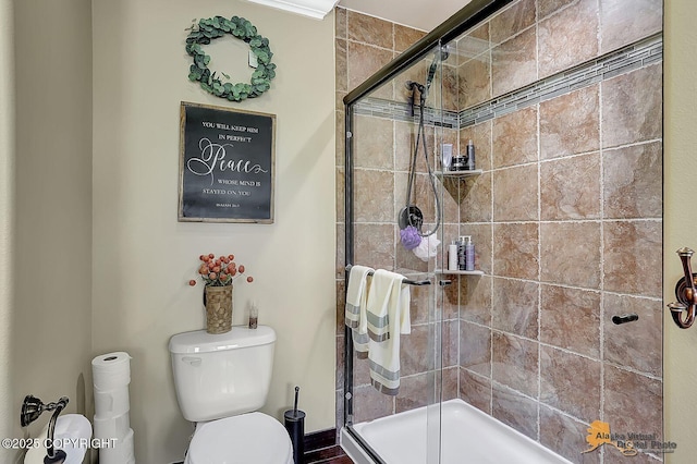 2548 S Gallop Cir, Wasilla, AK 99654 - bathroom with a stall shower