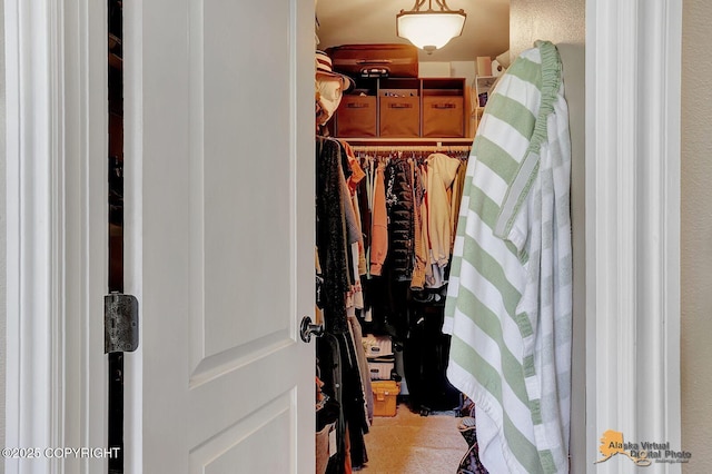 2548 S Gallop Cir, Wasilla, AK 99654 - view of spacious closet