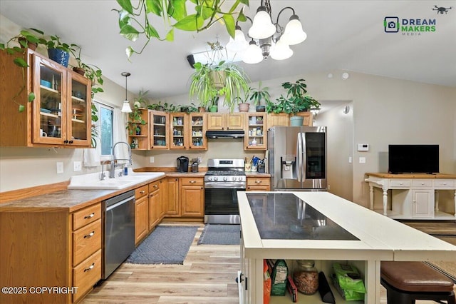 8520 E Gold Bullion Blvd, Palmer, AK 99645 - kitchen with appliances with stainless steel finishes, under cabinet range hood, lofted ceiling, light wood finished floors, and decorative light fixtures
