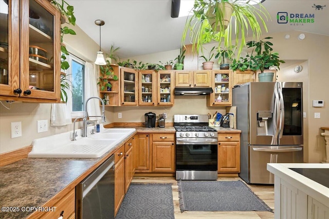 8520 E Gold Bullion Blvd, Palmer, AK 99645 - kitchen with stainless steel appliances, under cabinet range hood, vaulted ceiling, light wood-style flooring, and decorative light fixtures