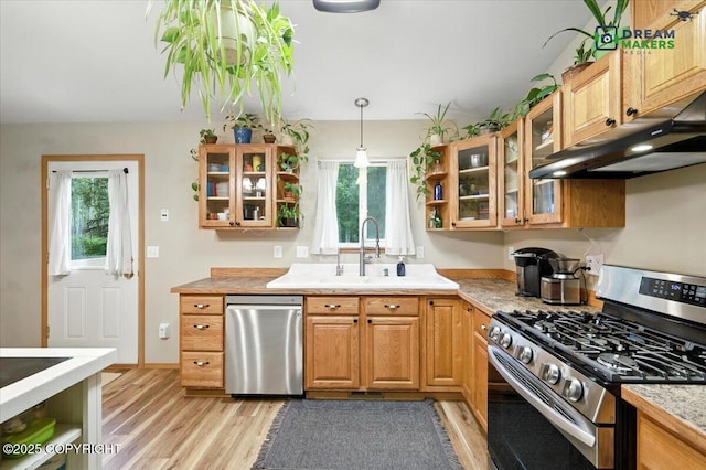 8520 E Gold Bullion Blvd, Palmer, AK 99645 - kitchen featuring appliances with stainless steel finishes, under cabinet range hood, healthy amount of natural light, and light wood-style flooring