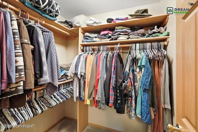 8520 E Gold Bullion Blvd, Palmer, AK 99645 - spacious closet with carpet