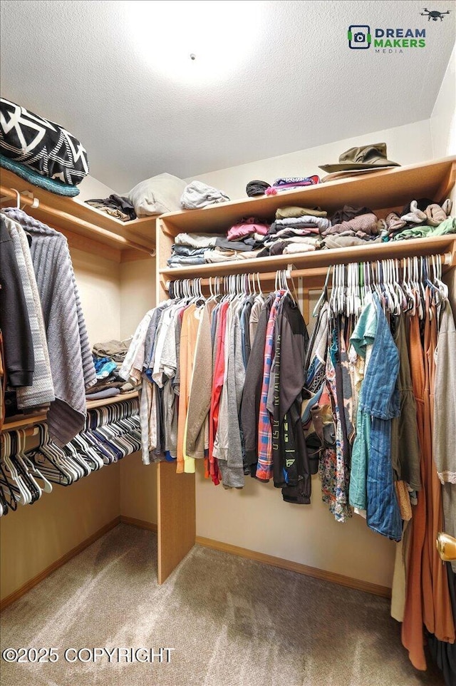 8520 E Gold Bullion Blvd, Palmer, AK 99645 - walk in closet featuring carpet
