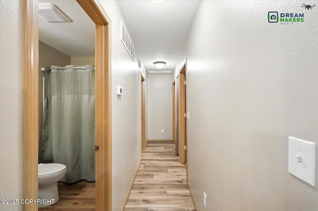 8520 E Gold Bullion Blvd, Palmer, AK 99645 - corridor with light wood-style flooring