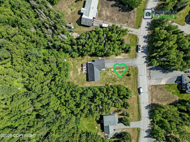 3111 N Intuition Dr, Wasilla, AK 99654 - aerial view of property's location