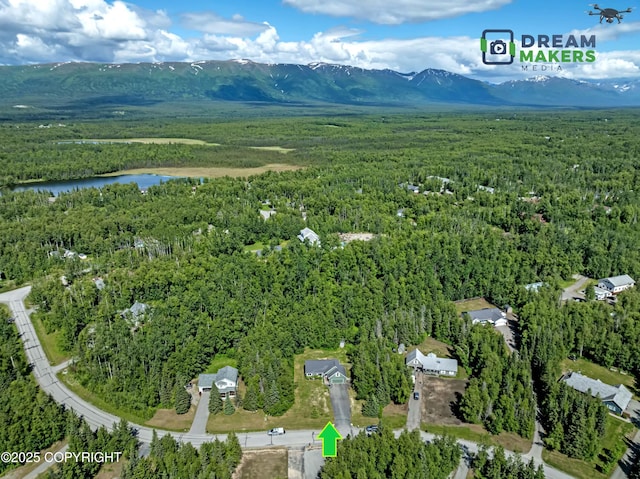 3111 N Intuition Dr, Wasilla, AK 99654 - view of property location with a forest and a water and mountain view