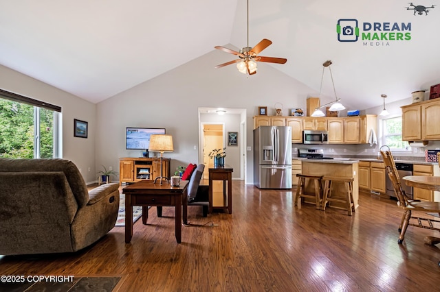 3111 N Intuition Dr, Wasilla, AK 99654 - living area featuring high vaulted ceiling, a ceiling fan, and dark wood-type flooring