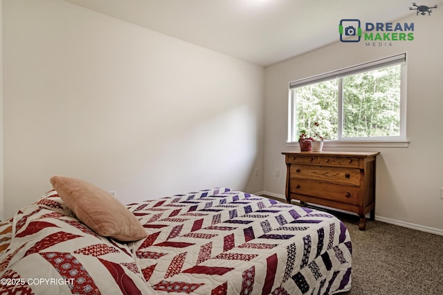 3111 N Intuition Dr, Wasilla, AK 99654 - carpeted bedroom with baseboards